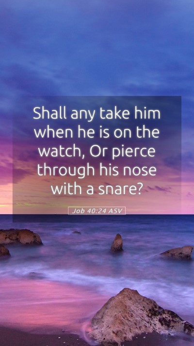 Picture 05 - Job 40:24 ASV Mobile Phone Wallpaper - Shall any take him when he is on the watch, Or - Mobile Bible Verse Wallpaper