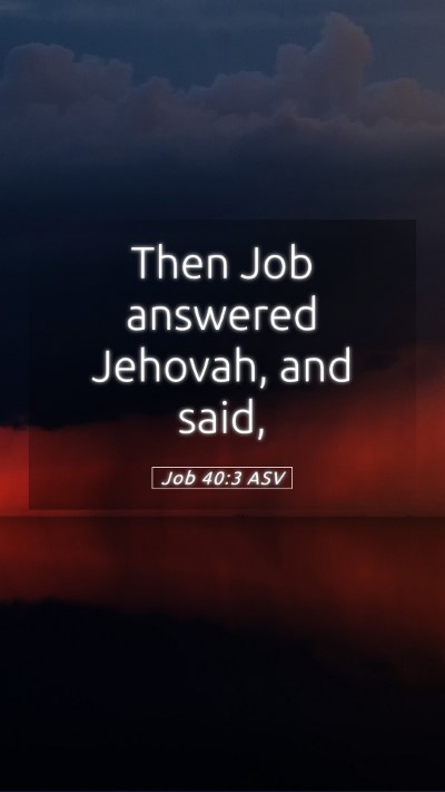 Picture 05 - Job 40:3 ASV Mobile Phone Wallpaper - Then Job answered Jehovah, and - Mobile Bible Verse Wallpaper