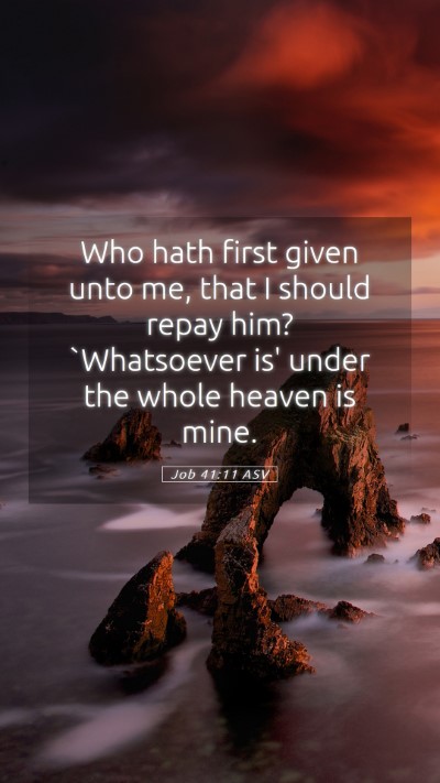 Picture 05 - Job 41:11 ASV Mobile Phone Wallpaper - Who hath first given unto me, that I should repay - Mobile Bible Verse Wallpaper