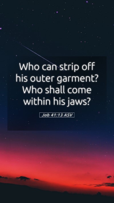 Picture 05 - Job 41:13 ASV Mobile Phone Wallpaper - Who can strip off his outer garment? Who shall - Mobile Bible Verse Wallpaper