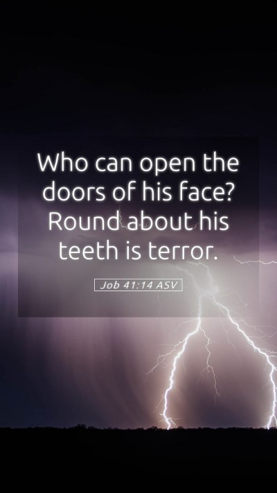 Picture 05 - Job 41:14 ASV Mobile Phone Wallpaper - Who can open the doors of his face? Round about - Mobile Bible Verse Wallpaper