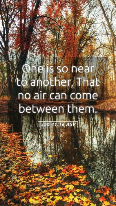 Picture 05 - Job 41:16 ASV Mobile Phone Wallpaper - One is so near to another, That no air can come - Mobile Bible Verse Wallpaper