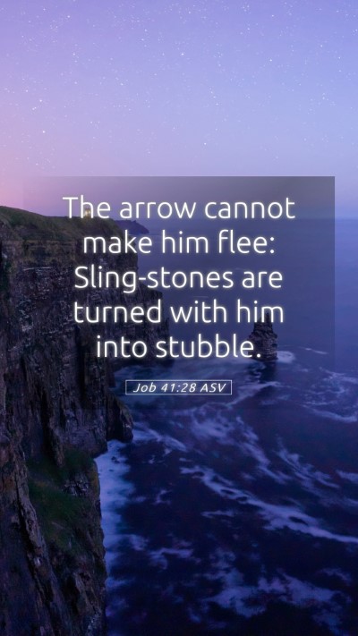 Picture 05 - Job 41:28 ASV Mobile Phone Wallpaper - The arrow cannot make him flee: Sling-stones are - Mobile Bible Verse Wallpaper