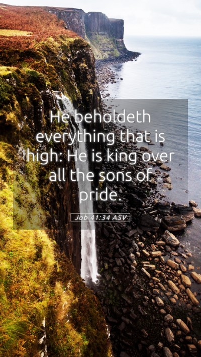 Picture 05 - Job 41:34 ASV Mobile Phone Wallpaper - He beholdeth everything that is high: He is king - Mobile Bible Verse Wallpaper