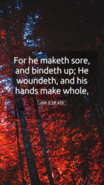 Picture 05 - Job 5:18 ASV Mobile Phone Wallpaper - For he maketh sore, and bindeth up; He woundeth, - Mobile Bible Verse Wallpaper