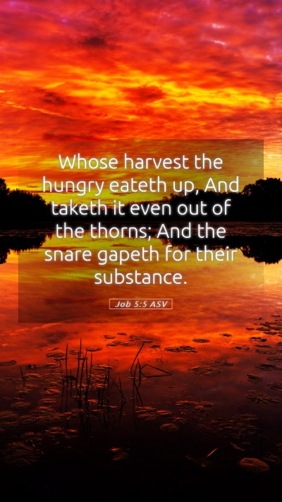 Picture 05 - Job 5:5 ASV Mobile Phone Wallpaper - Whose harvest the hungry eateth up, And taketh it - Mobile Bible Verse Wallpaper