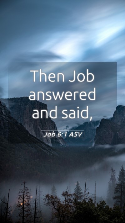 Picture 05 - Job 6:1 ASV Mobile Phone Wallpaper - Then Job answered and - Mobile Bible Verse Wallpaper