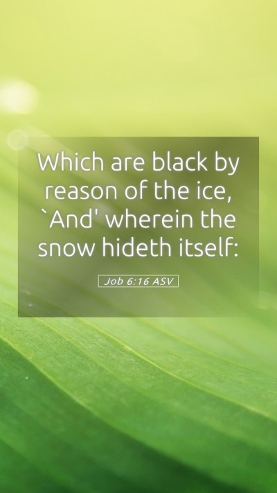 Picture 05 - Job 6:16 ASV Mobile Phone Wallpaper - Which are black by reason of the ice, `And' - Mobile Bible Verse Wallpaper
