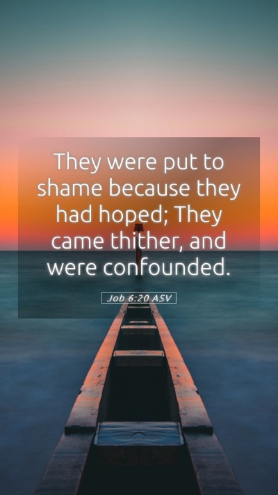 Picture 05 - Job 6:20 ASV Mobile Phone Wallpaper - They were put to shame because they had hoped; - Mobile Bible Verse Wallpaper