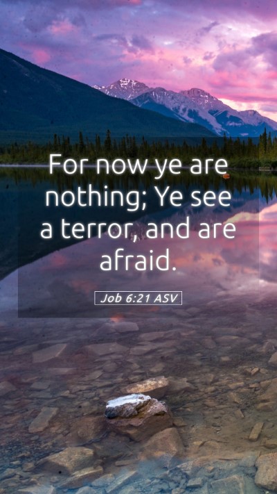 Picture 05 - Job 6:21 ASV Mobile Phone Wallpaper - For now ye are nothing; Ye see a terror, and are - Mobile Bible Verse Wallpaper
