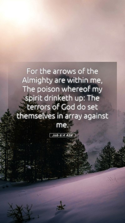 Picture 05 - Job 6:4 ASV Mobile Phone Wallpaper - For the arrows of the Almighty are within me, The - Mobile Bible Verse Wallpaper