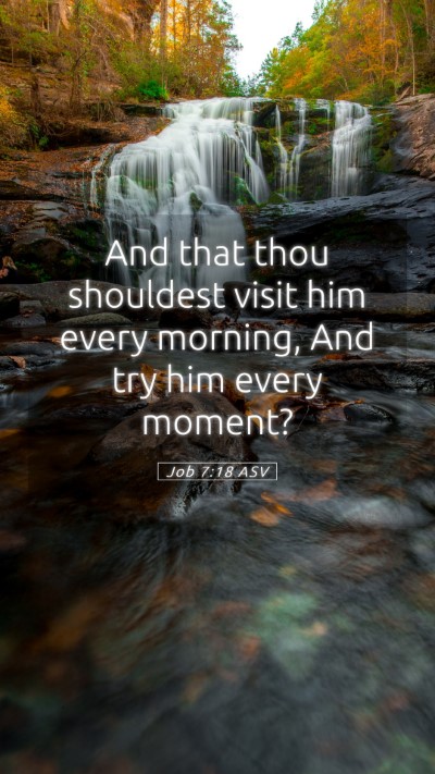Picture 05 - Job 7:18 ASV Mobile Phone Wallpaper - And that thou shouldest visit him every morning, - Mobile Bible Verse Wallpaper