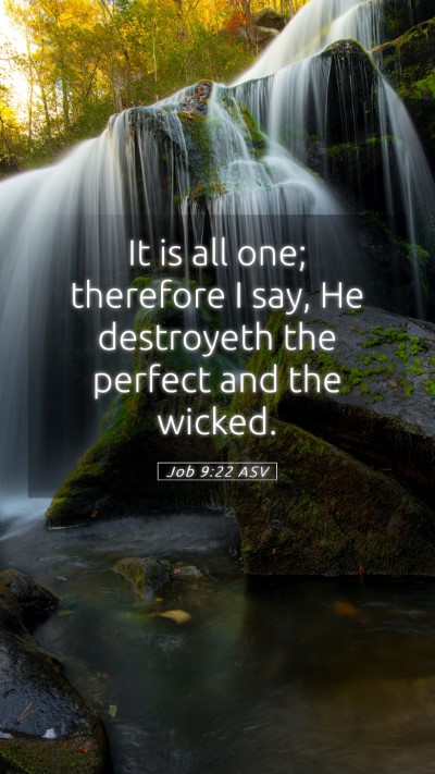 Picture 05 - Job 9:22 ASV Mobile Phone Wallpaper - It is all one; therefore I say, He destroyeth the - Mobile Bible Verse Wallpaper