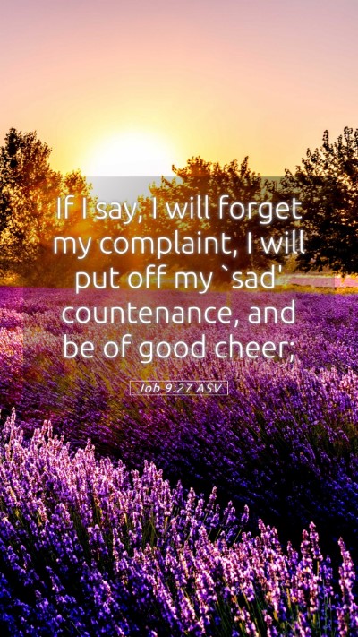 Picture 05 - Job 9:27 ASV Mobile Phone Wallpaper - If I say, I will forget my complaint, I will put - Mobile Bible Verse Wallpaper