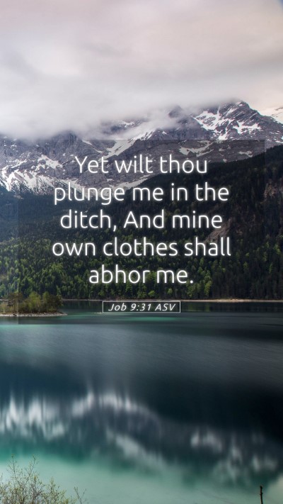 Picture 05 - Job 9:31 ASV Mobile Phone Wallpaper - Yet wilt thou plunge me in the ditch, And mine - Mobile Bible Verse Wallpaper