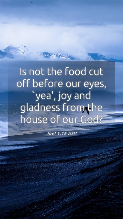 Picture 05 - Joel 1:16 ASV Mobile Phone Wallpaper - Is not the food cut off before our eyes, `yea', - Mobile Bible Verse Wallpaper