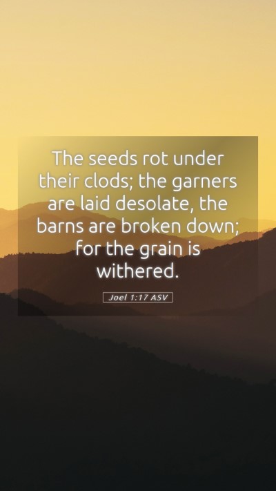 Picture 05 - Joel 1:17 ASV Mobile Phone Wallpaper - The seeds rot under their clods; the garners are - Mobile Bible Verse Wallpaper