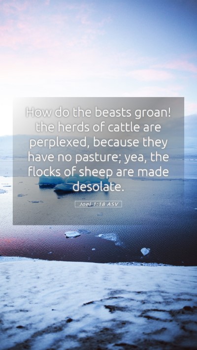Picture 05 - Joel 1:18 ASV Mobile Phone Wallpaper - How do the beasts groan! the herds of cattle are - Mobile Bible Verse Wallpaper