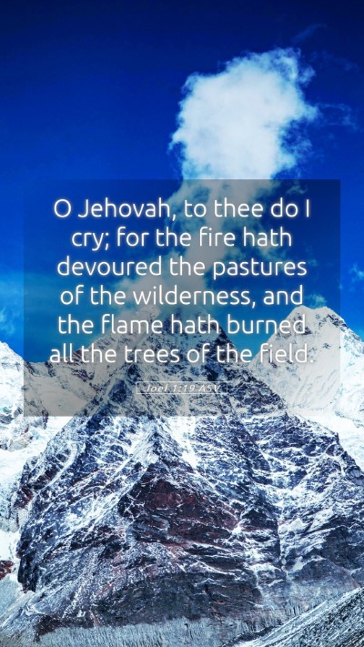Picture 05 - Joel 1:19 ASV Mobile Phone Wallpaper - O Jehovah, to thee do I cry; for the fire hath - Mobile Bible Verse Wallpaper