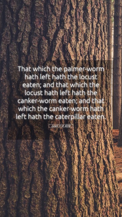 Picture 05 - Joel 1:4 ASV Mobile Phone Wallpaper - That which the palmer-worm hath left hath the - Mobile Bible Verse Wallpaper