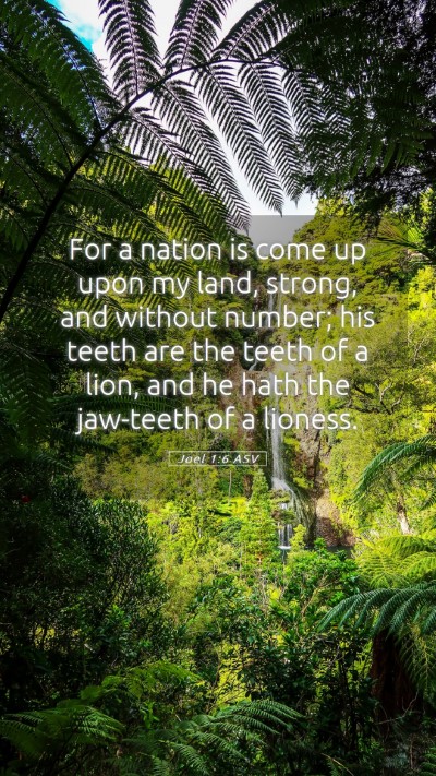 Picture 05 - Joel 1:6 ASV Mobile Phone Wallpaper - For a nation is come up upon my land, strong, and - Mobile Bible Verse Wallpaper