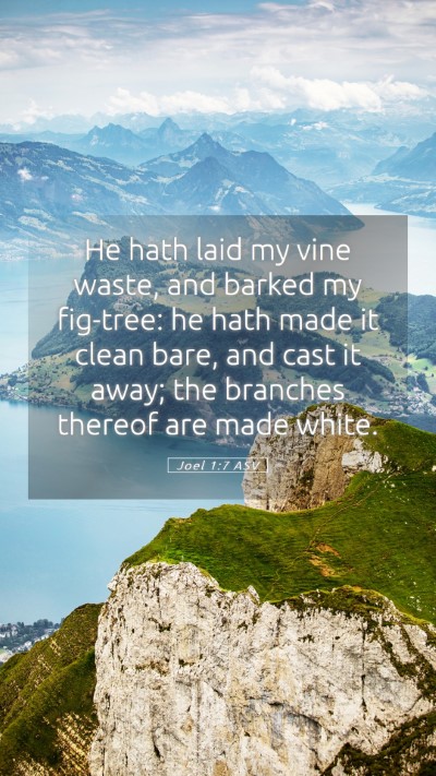 Picture 05 - Joel 1:7 ASV Mobile Phone Wallpaper - He hath laid my vine waste, and barked my - Mobile Bible Verse Wallpaper