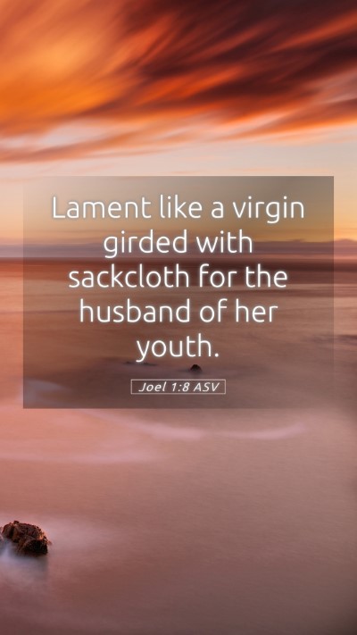 Picture 05 - Joel 1:8 ASV Mobile Phone Wallpaper - Lament like a virgin girded with sackcloth for - Mobile Bible Verse Wallpaper