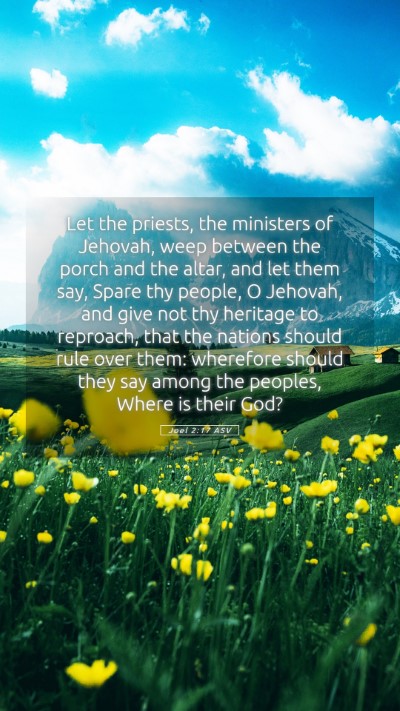 Picture 05 - Joel 2:17 ASV Mobile Phone Wallpaper - Let the priests, the ministers of Jehovah, weep - Mobile Bible Verse Wallpaper