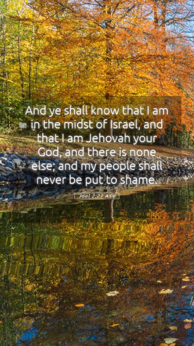 Picture 05 - Joel 2:27 ASV Mobile Phone Wallpaper - And ye shall know that I am in the midst of - Mobile Bible Verse Wallpaper