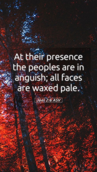 Picture 05 - Joel 2:6 ASV Mobile Phone Wallpaper - At their presence the peoples are in anguish; all - Mobile Bible Verse Wallpaper