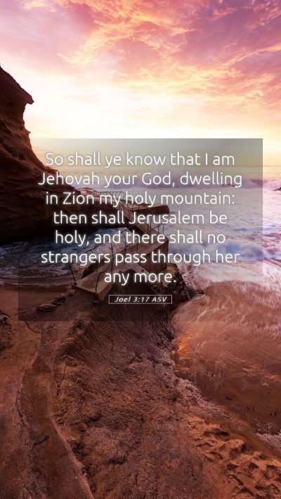 Picture 05 - Joel 3:17 ASV Mobile Phone Wallpaper - So shall ye know that I am Jehovah your God, - Mobile Bible Verse Wallpaper