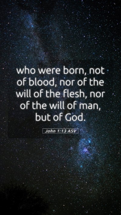 Picture 05 - John 1:13 ASV Mobile Phone Wallpaper - who were born, not of blood, nor of the will of - Mobile Bible Verse Wallpaper