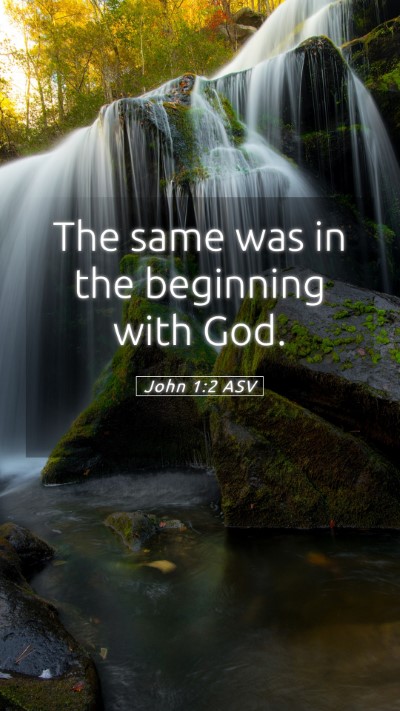 Picture 05 - John 1:2 ASV Mobile Phone Wallpaper - The same was in the beginning with - Mobile Bible Verse Wallpaper