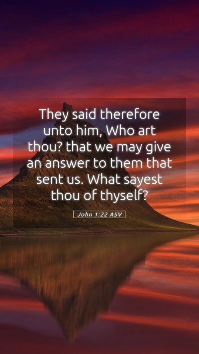 Picture 05 - John 1:22 ASV Mobile Phone Wallpaper - They said therefore unto him, Who art thou? that - Mobile Bible Verse Wallpaper