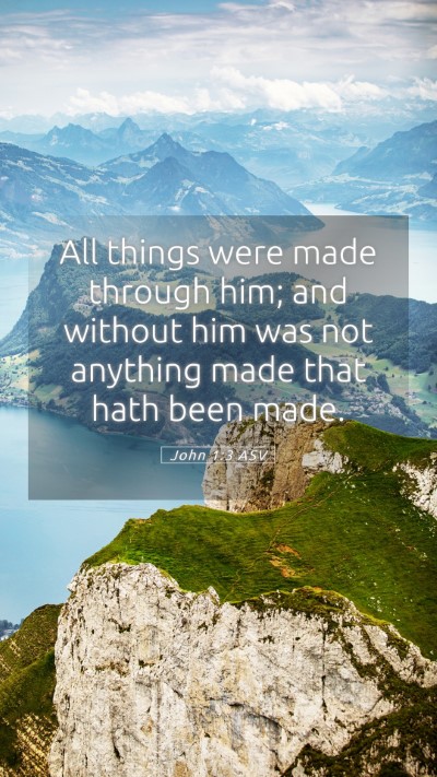 Picture 05 - John 1:3 ASV Mobile Phone Wallpaper - All things were made through him; and without him - Mobile Bible Verse Wallpaper
