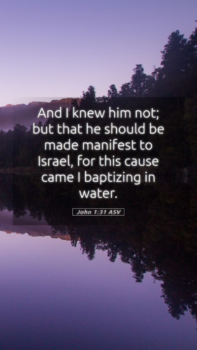 Picture 05 - John 1:31 ASV Mobile Phone Wallpaper - And I knew him not; but that he should be made - Mobile Bible Verse Wallpaper