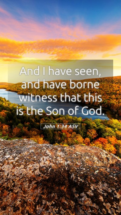 Picture 05 - John 1:34 ASV Mobile Phone Wallpaper - And I have seen, and have borne witness that this - Mobile Bible Verse Wallpaper