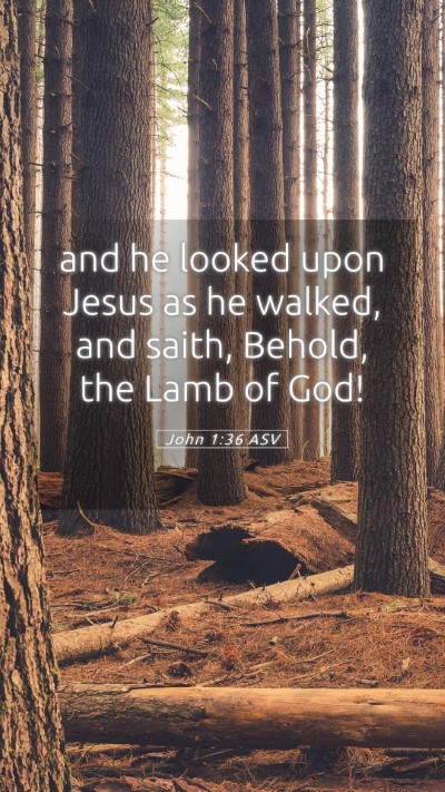 Picture 05 - John 1:36 ASV Mobile Phone Wallpaper - and he looked upon Jesus as he walked, and saith, - Mobile Bible Verse Wallpaper