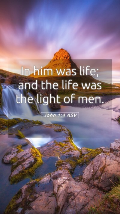 Picture 05 - John 1:4 ASV Mobile Phone Wallpaper - In him was life; and the life was the light of - Mobile Bible Verse Wallpaper