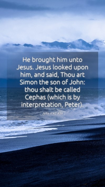 Picture 05 - John 1:42 ASV Mobile Phone Wallpaper - He brought him unto Jesus. Jesus looked upon him, - Mobile Bible Verse Wallpaper