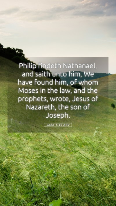 Picture 05 - John 1:45 ASV Mobile Phone Wallpaper - Philip findeth Nathanael, and saith unto him, We - Mobile Bible Verse Wallpaper