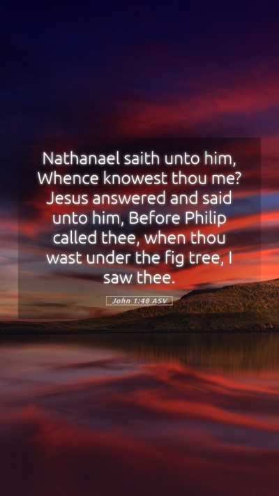 Picture 05 - John 1:48 ASV Mobile Phone Wallpaper - Nathanael saith unto him, Whence knowest thou me? - Mobile Bible Verse Wallpaper