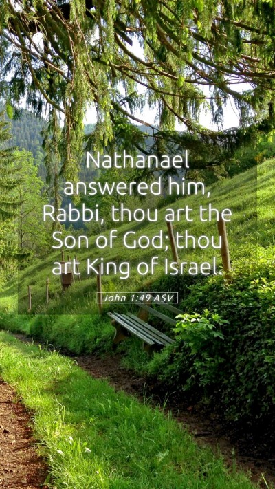 Picture 05 - John 1:49 ASV Mobile Phone Wallpaper - Nathanael answered him, Rabbi, thou art the Son - Mobile Bible Verse Wallpaper