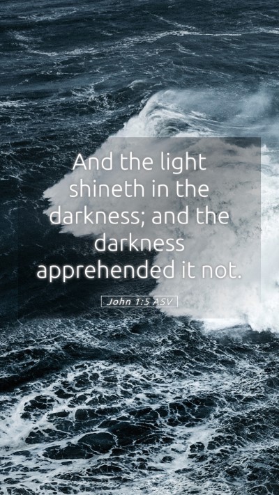 Picture 05 - John 1:5 ASV Mobile Phone Wallpaper - And the light shineth in the darkness; and the - Mobile Bible Verse Wallpaper