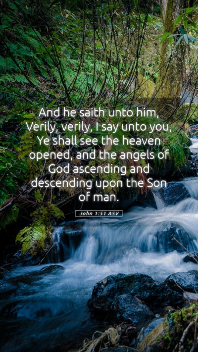 Picture 05 - John 1:51 ASV Mobile Phone Wallpaper - And he saith unto him, Verily, verily, I say unto - Mobile Bible Verse Wallpaper