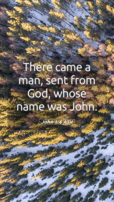 Picture 05 - John 1:6 ASV Mobile Phone Wallpaper - There came a man, sent from God, whose name was - Mobile Bible Verse Wallpaper