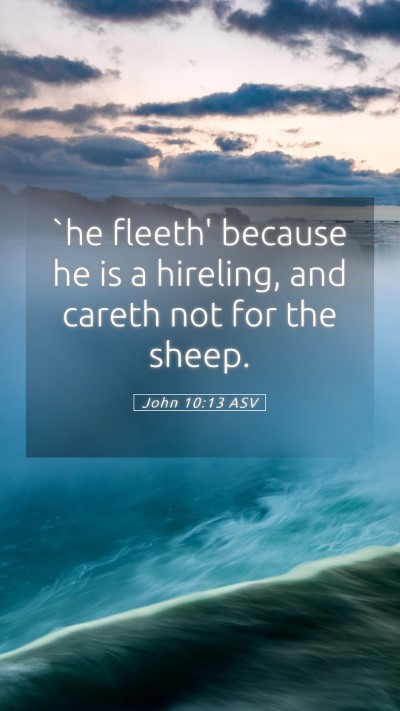 Picture 05 - John 10:13 ASV Mobile Phone Wallpaper - `he fleeth' because he is a hireling, and careth - Mobile Bible Verse Wallpaper