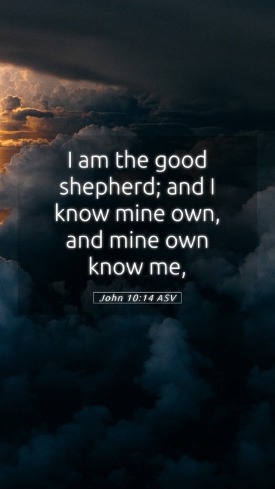 Picture 05 - John 10:14 ASV Mobile Phone Wallpaper - I am the good shepherd; and I know mine own, and - Mobile Bible Verse Wallpaper