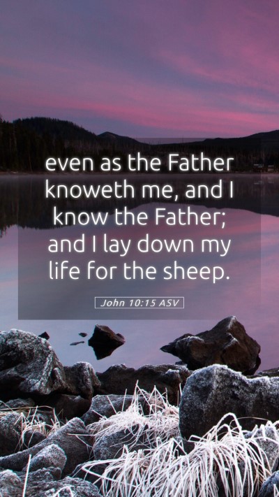 Picture 05 - John 10:15 ASV Mobile Phone Wallpaper - even as the Father knoweth me, and I know the - Mobile Bible Verse Wallpaper