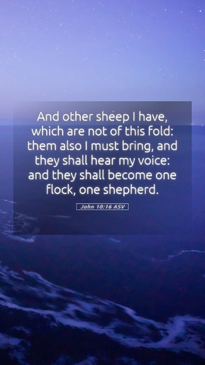 Picture 05 - John 10:16 ASV Mobile Phone Wallpaper - And other sheep I have, which are not of this - Mobile Bible Verse Wallpaper